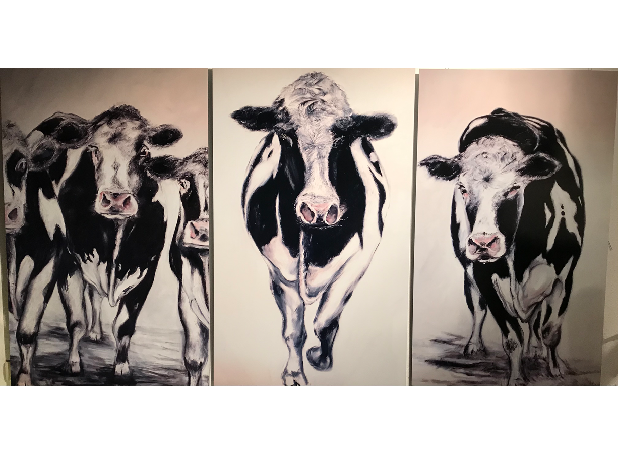Kühe – Tryptichon / 2020 / Druck auf Dibond / 80 x 170 cm              